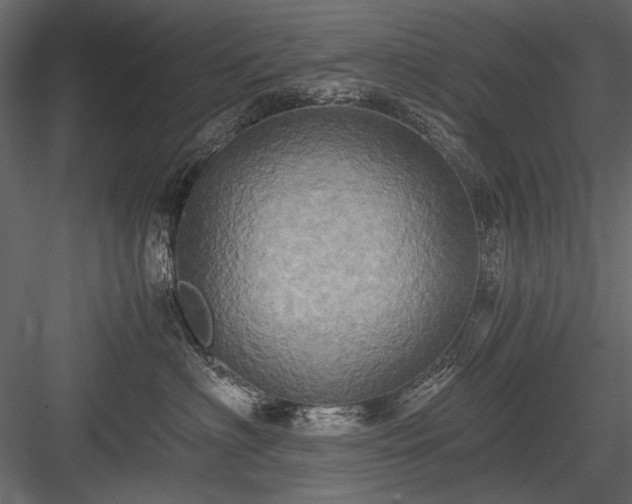 X0000084030622200702232300