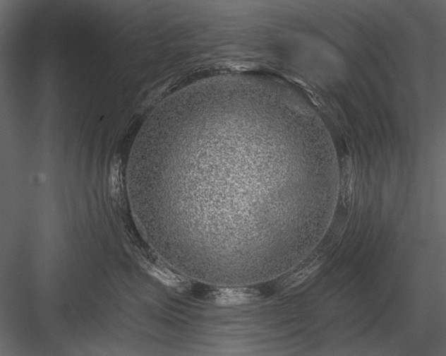 X0000084030623200702232300