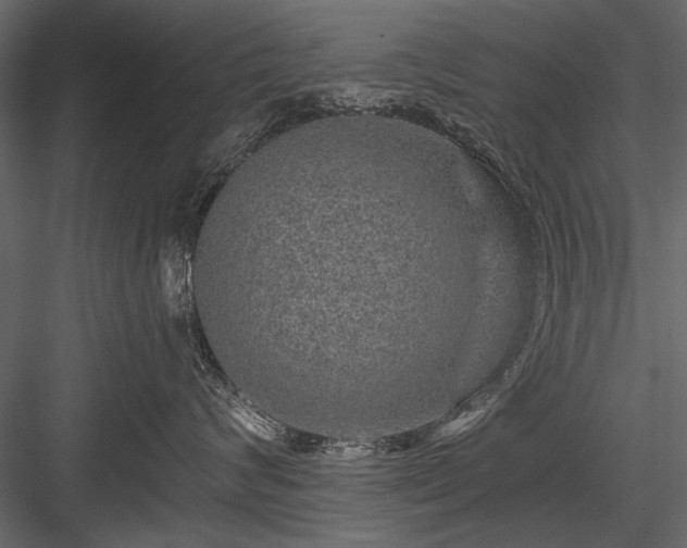 X0000084030624200702232300