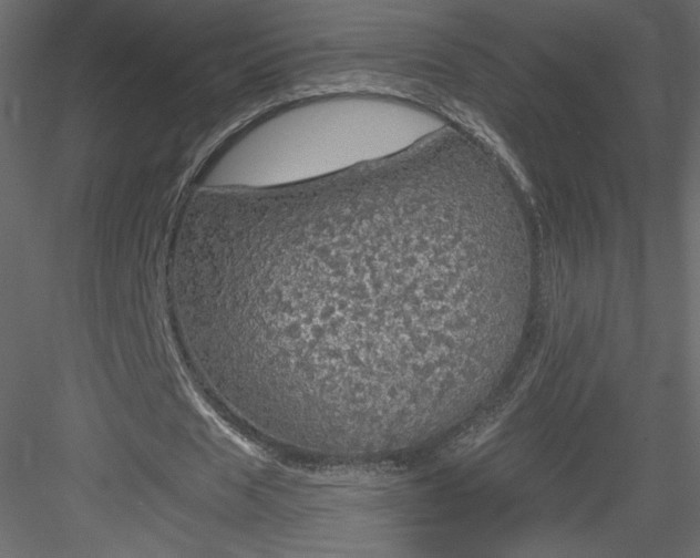 X0000084030625200702232259