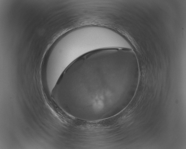 X0000084030626200702232259