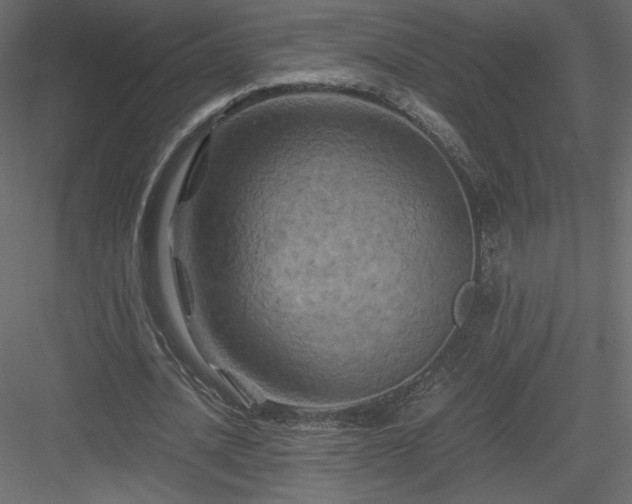 X0000084030628200702232259