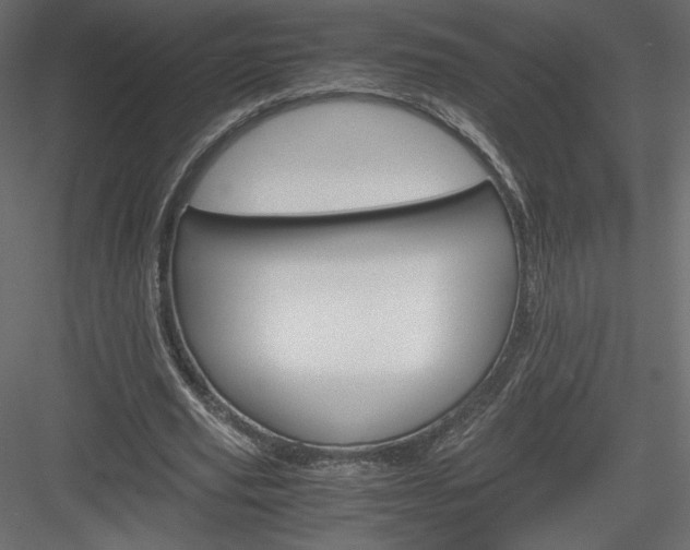 X0000084030629200702232259