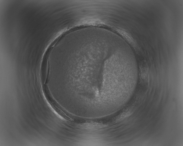 X0000084030630200702232259