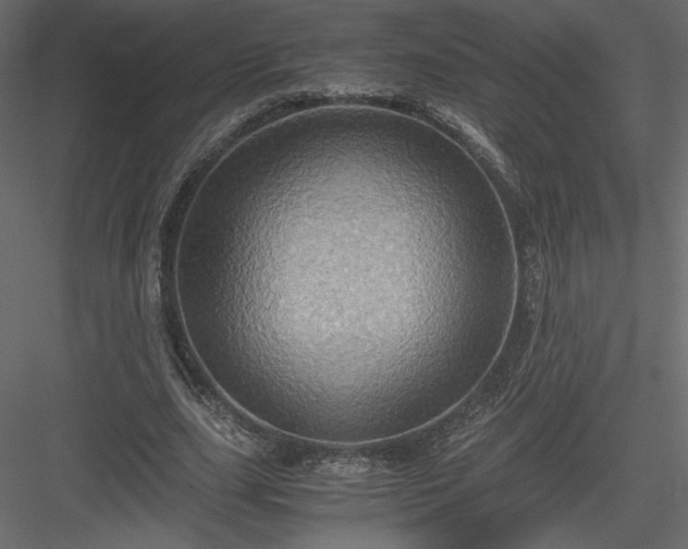 X0000084030631200702232259