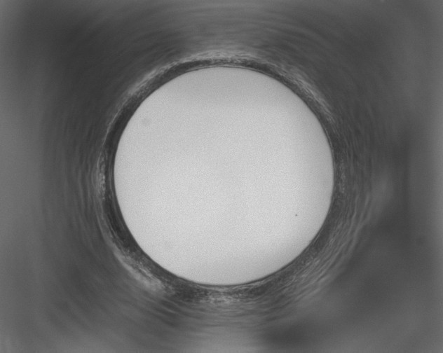 X0000084030632200702232259