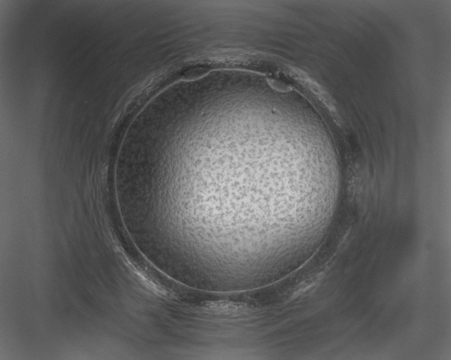 X0000084030633200702232259