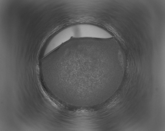 X0000084030634200702232259