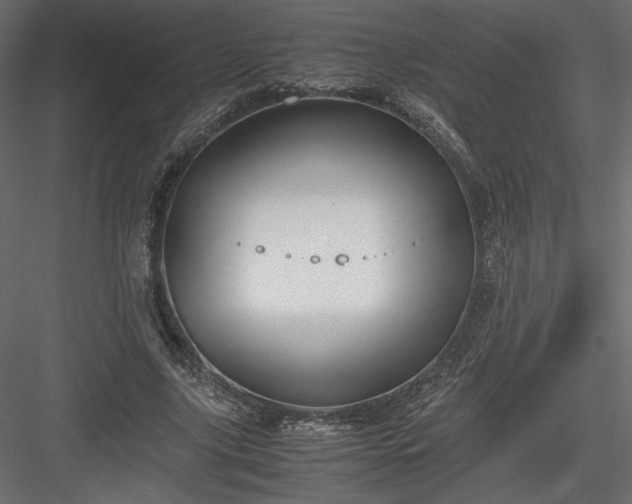 X0000084030635200702232259