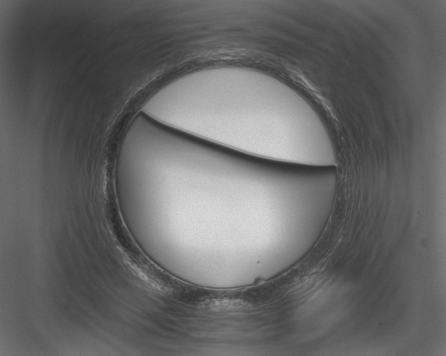 X0000084030637200702232259