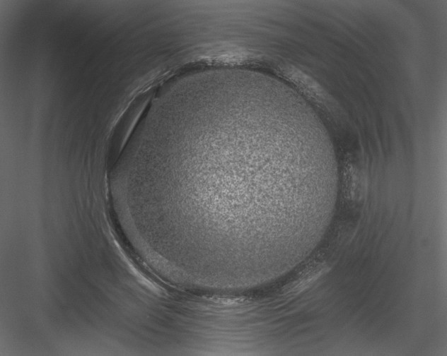 X0000084030638200702232259