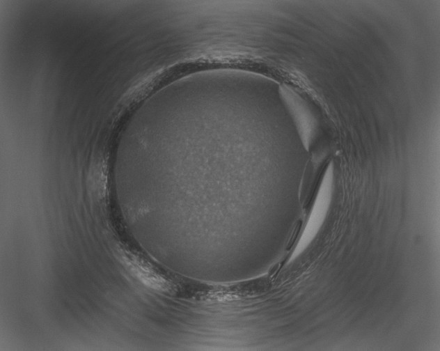 X0000084030640200702232259