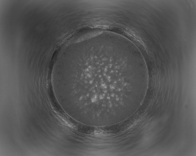 X0000084030641200702232259