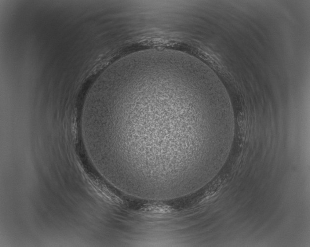 X0000084030642200702232259