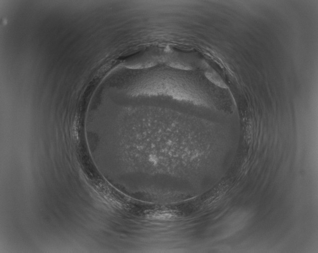 X0000084030643200702232259