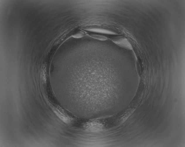 X0000084030644200702232259