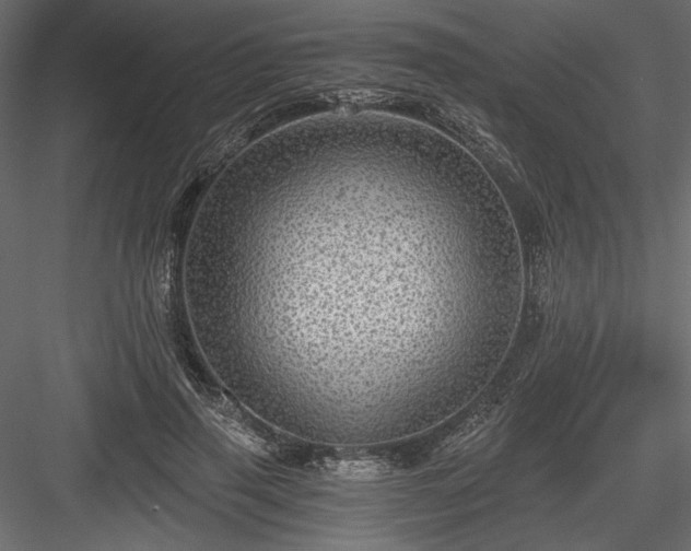 X0000084030645200702232259