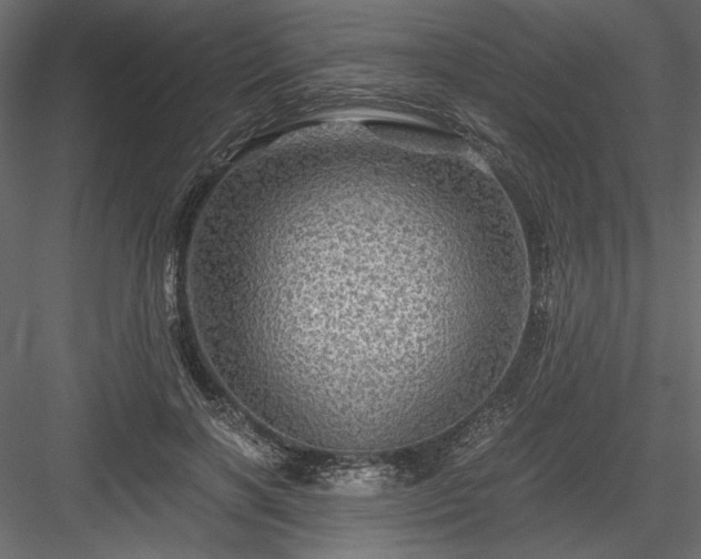 X0000084030646200702232259