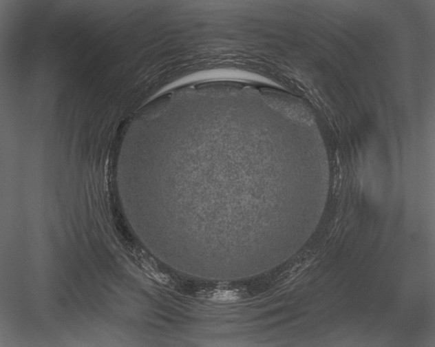 X0000084030647200702232259