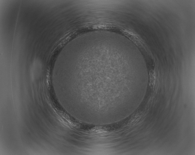 X0000084030648200702232259