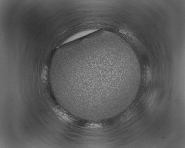 X0000084030649200702232259