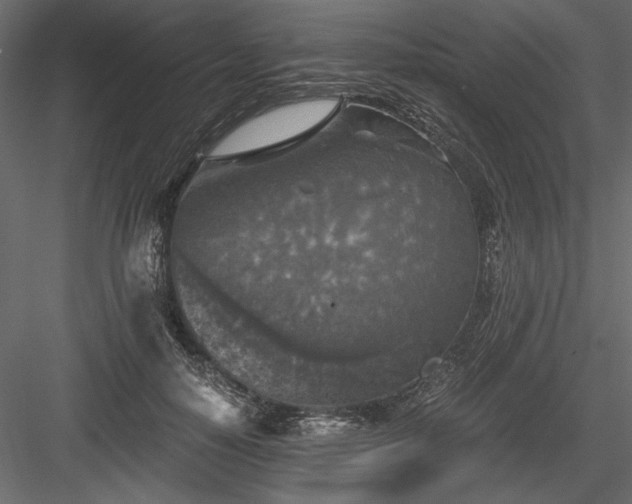 X0000084030650200702232259