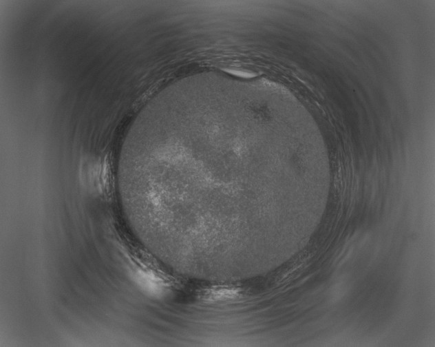 X0000084030651200702232259