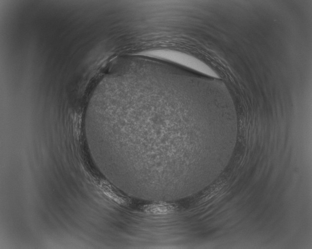 X0000084030652200702232259