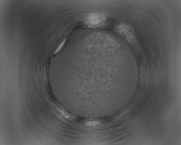 X0000084030653200702232259