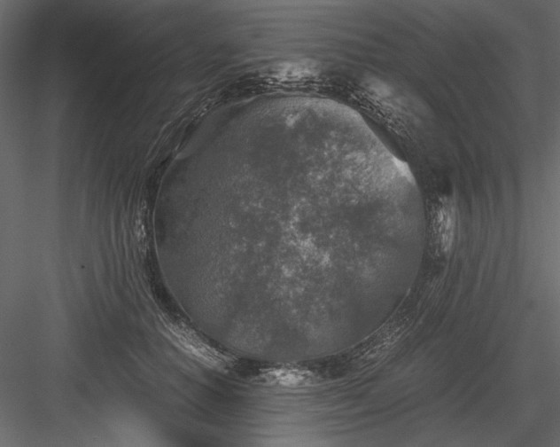 X0000084030654200702232259