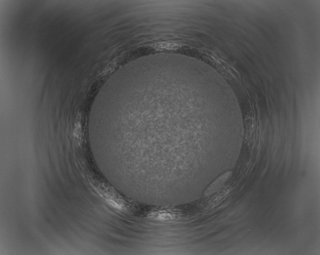 X0000084030655200702232259