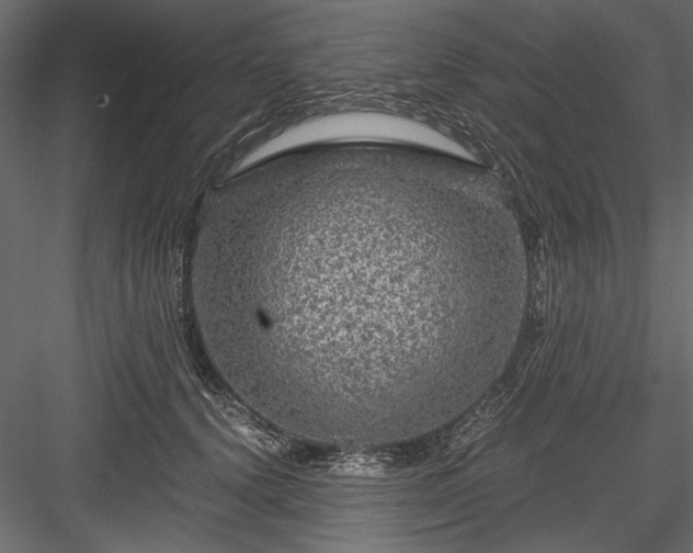 X0000084030656200702232259