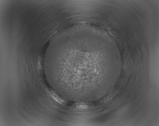 X0000084030658200702232259