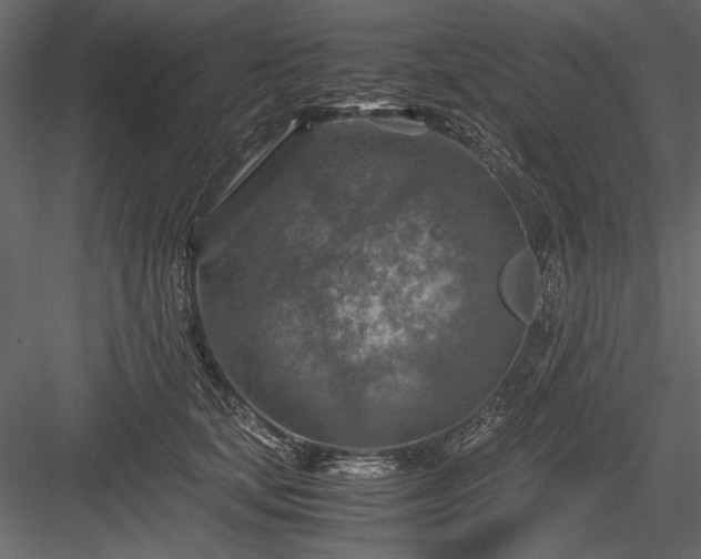 X0000084030659200702232259