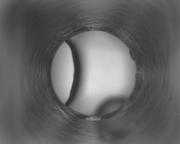 X0000084030660200702232259