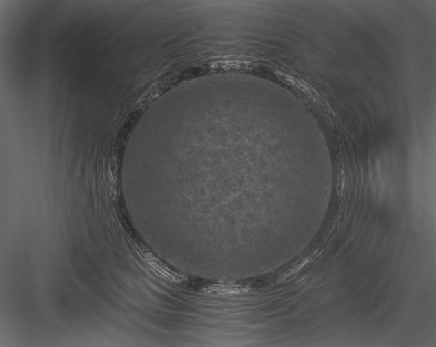 X0000084030661200702232300