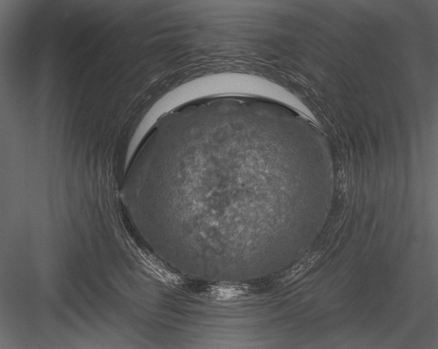 X0000084030662200702232300