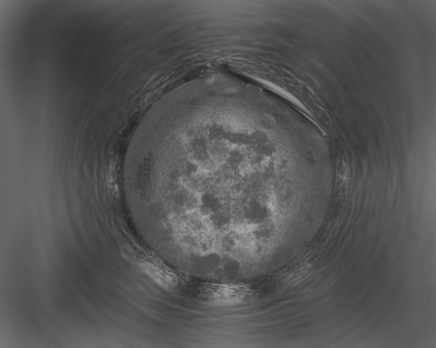 X0000084030663200702232300