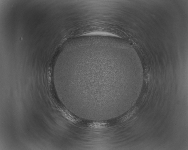 X0000084030664200702232300