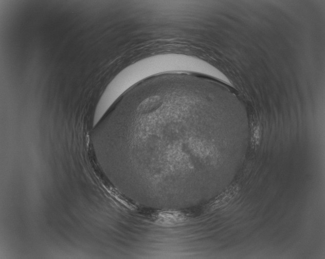 X0000084030666200702232300