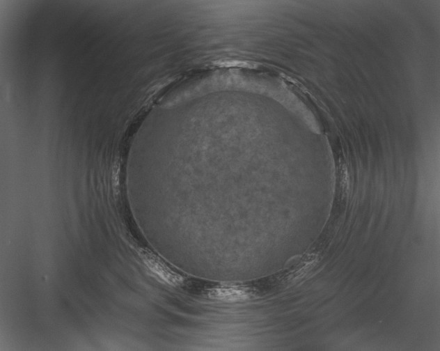 X0000084030668200702232300