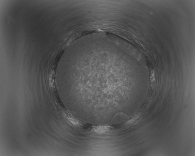 X0000084030671200702232300