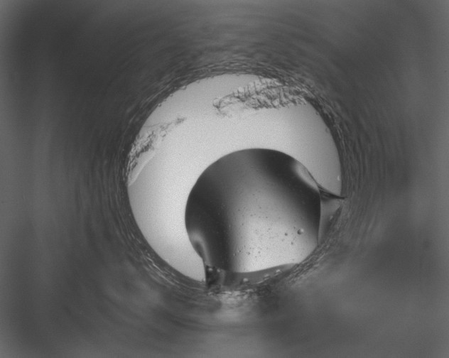 X0000084030672200702232300