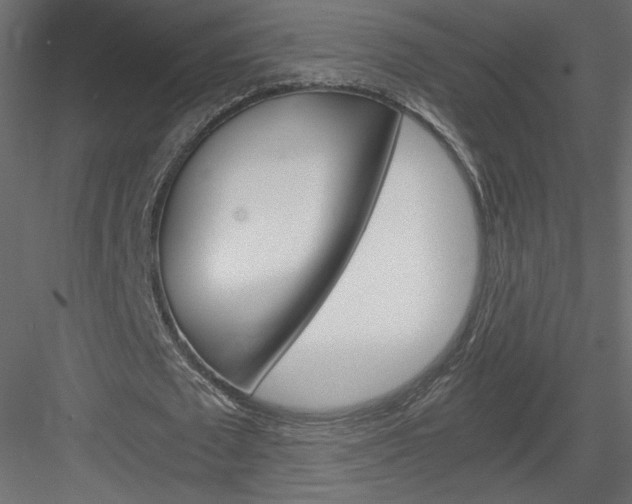 X0000084030673200702232259