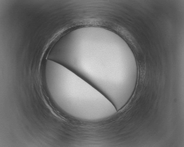 X0000084030674200702232259