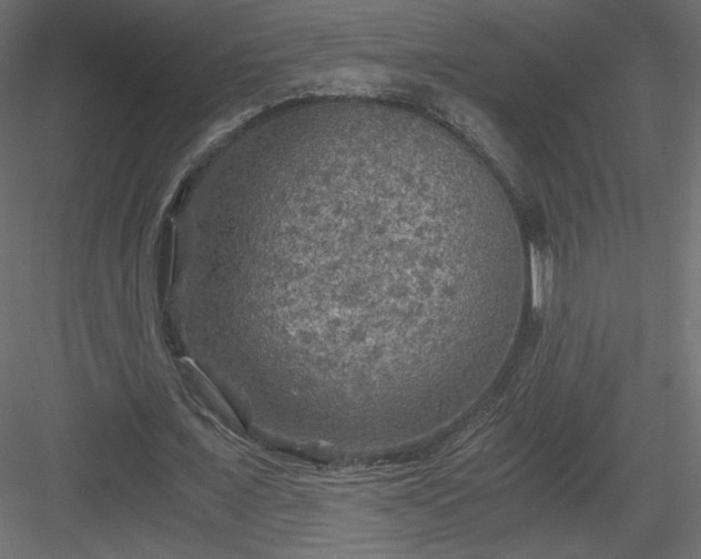 X0000084030675200702232259