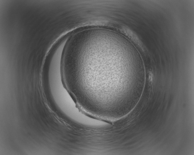 X0000084030676200702232259