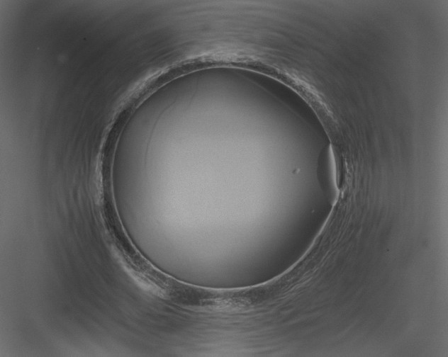 X0000084030678200702232259