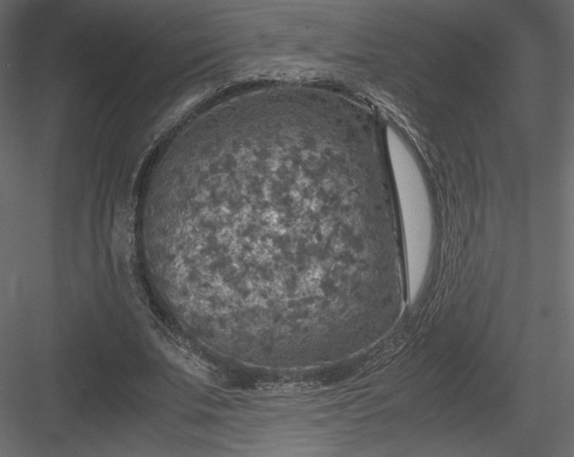 X0000084030679200702232259