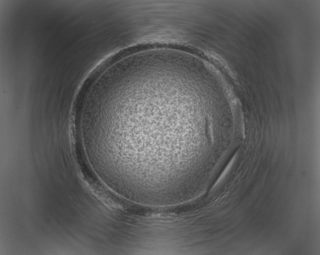 X0000084030680200702232259